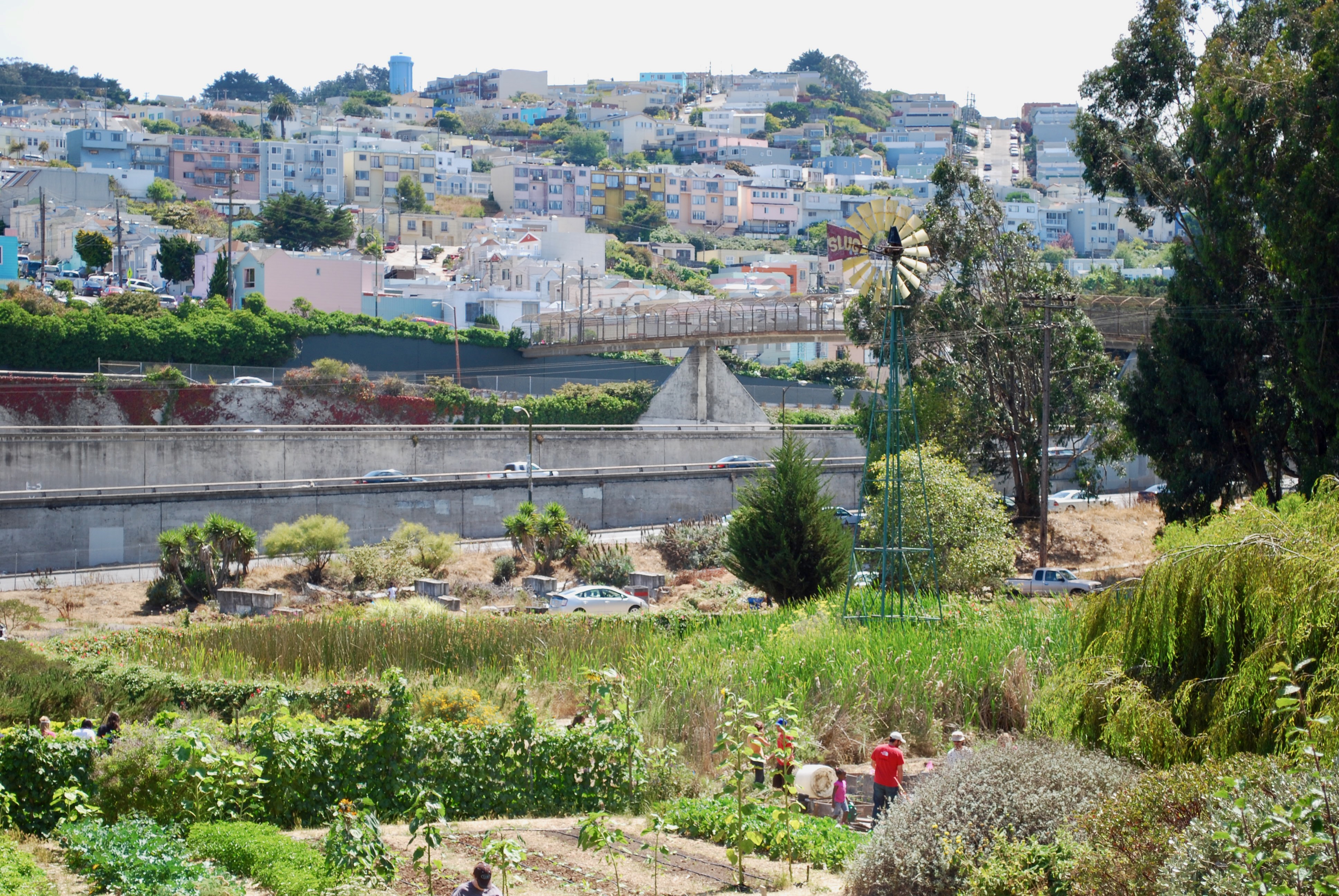 Alemany Farm - urban agriculture in San Francisco
